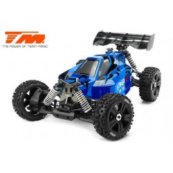 1/8 Electrique - 4WD Buggy...